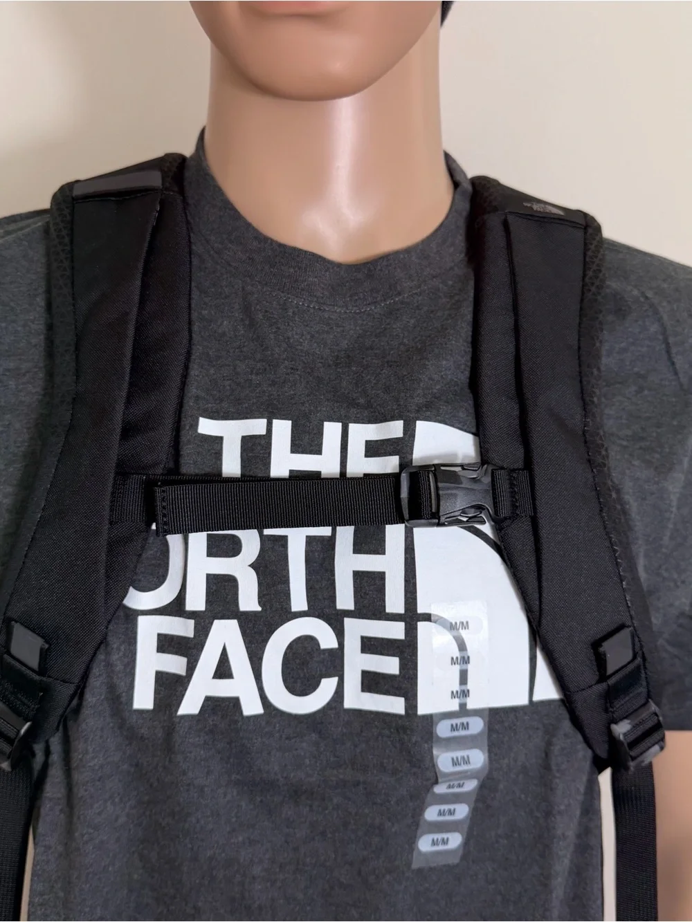 The North Face north face